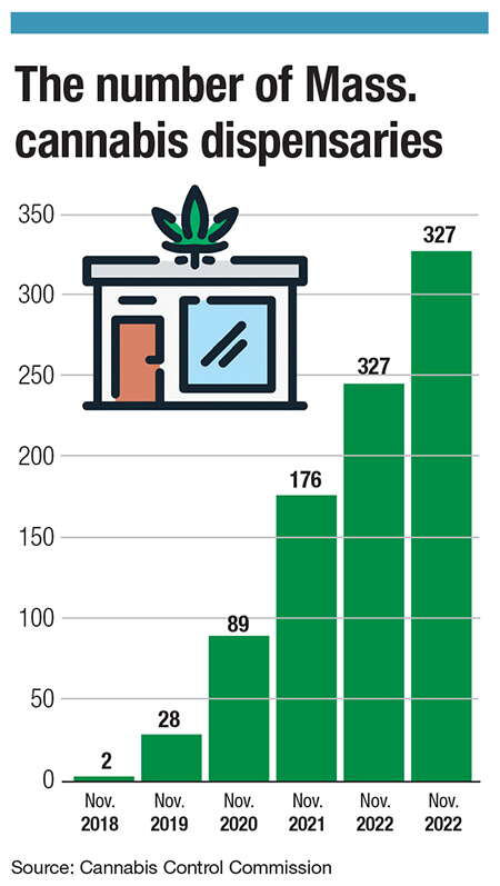 A chart showing how many dispensaries were/are in Massachusetts each year. 
