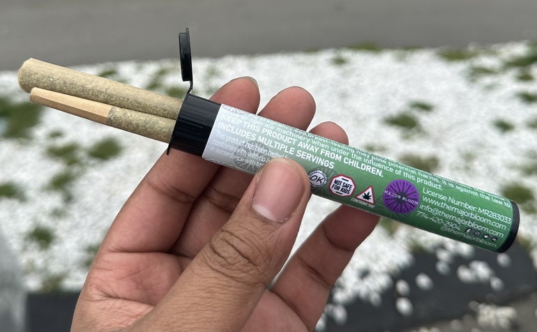 A hand holds a small plastic tube that has two cannabis joints poking out of the end