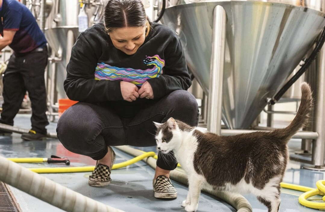 A woman crouches behind a cat