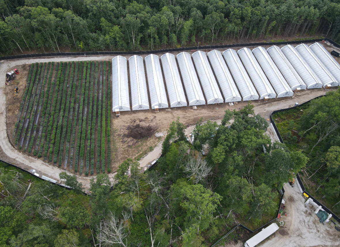 An aerial photo of a large, fenced-in cannabis farm.