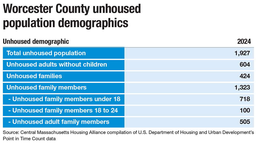 A chart showing demographics of Worcester County's unhoused population