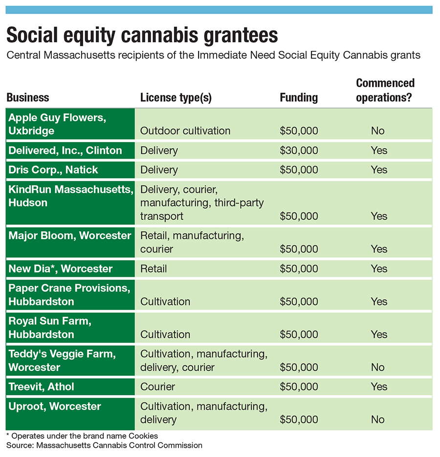 A chart with a list of cannabis businesses who received social equity grants