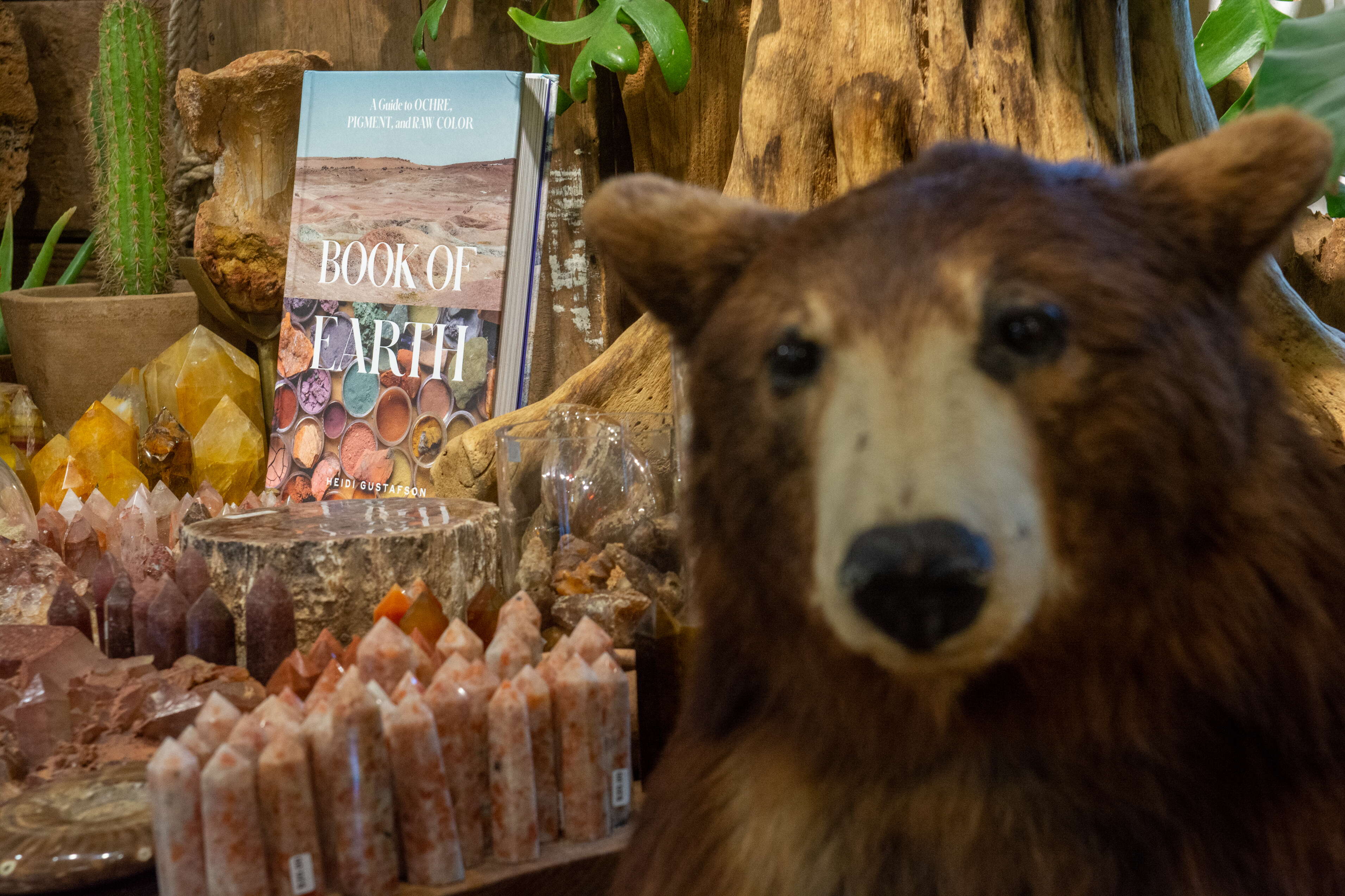 A taxidermy bear inside a store in front of a table display with different stones and a book titled "Book of Earth"