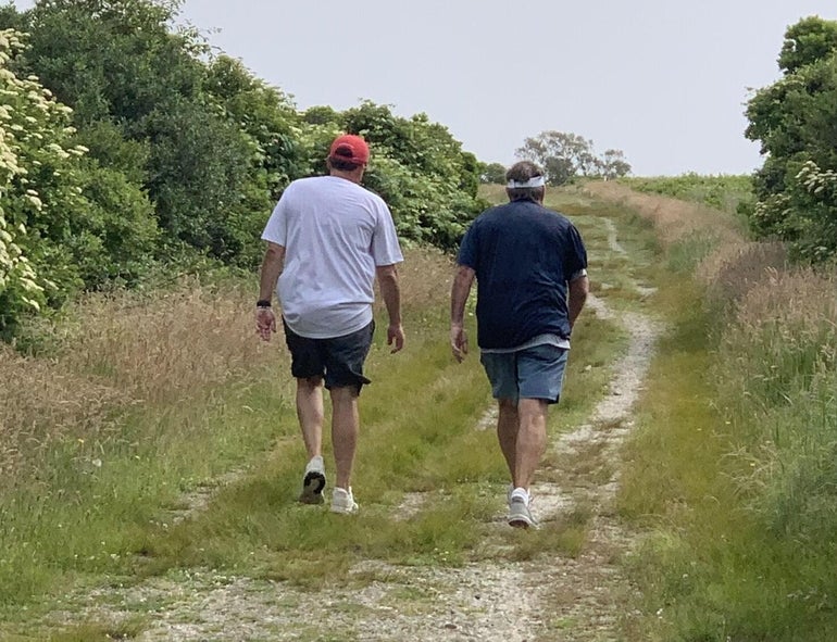 Two men walk away from the camera on a grassy road.