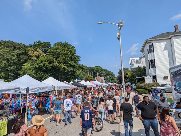 A large crowd of people at a street festival